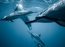 开云体育登录入口-【直播】北笙：JDG选手的压力主要来自于自己的粉丝，真喜欢他们就不要这样